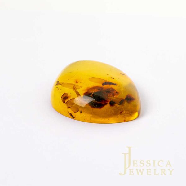 AMBER (HỔ PHÁCH)